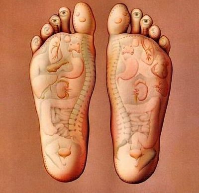 components_com_virtuemart_shop_image_product_Reflexologie_Pla_4ffbf4a38d139