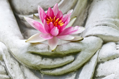 Buddha hands holding flower